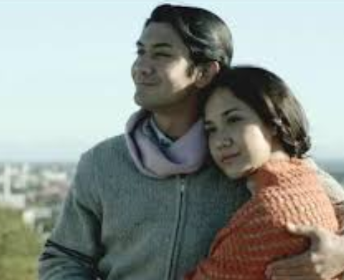 Review Film Habibie & Ainun: Kisah Cinta Presiden Romantis