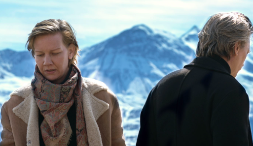 Review Film Anatomy of a Fall dalam misteri kebenaran rumah